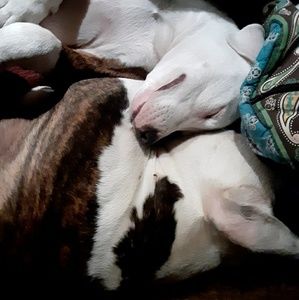 Meet your Posher, Dee